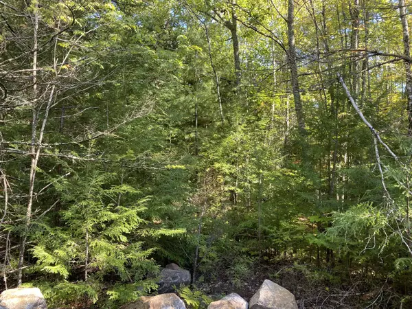 Bridgton, ME 04009,Lot #2 Phoenix WAY