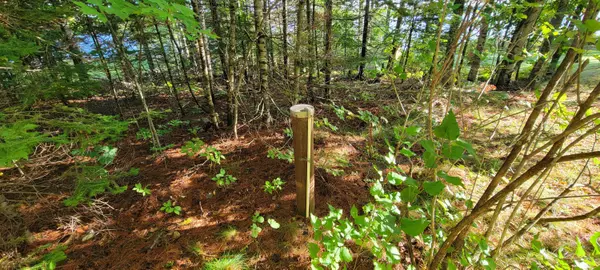 Brookton Twp, ME 04413,120 Picnic Point RD