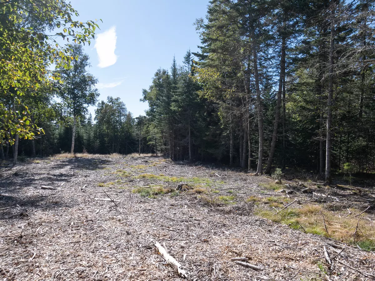 Tremont, ME 04653,Lot 3 Sophie's Way Lot 3
