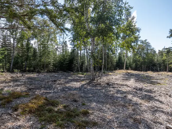 Tremont, ME 04653,Lot 3 Sophie's Way Lot 3