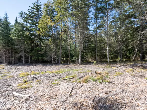 Tremont, ME 04653,Lot 3 Sophie's Way Lot 3