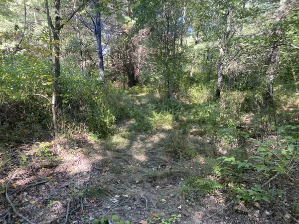 Waterville, ME 04901,1 Wolf ST