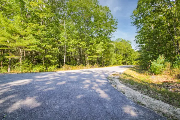 Litchfield, ME 04350,0 Balsam and Black Cherry LN