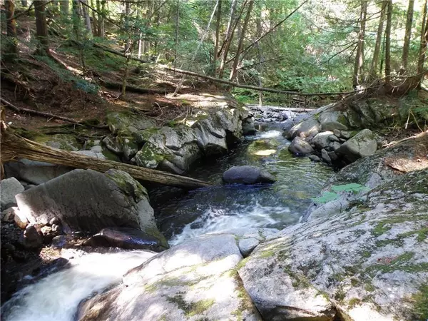 Big Moose Twp, ME 04441,1.6 Rockwood RD