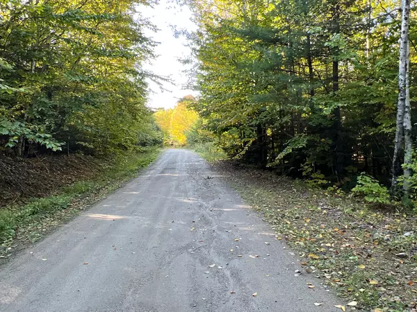 Lot 10 Homestead Drive, Lakeville, ME 04487