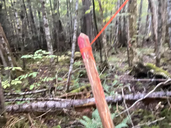 Springfield, ME 04487,00 Off Moores Road