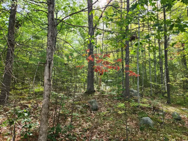 Waterboro, ME 04087,Lot 4 Sherwood DR