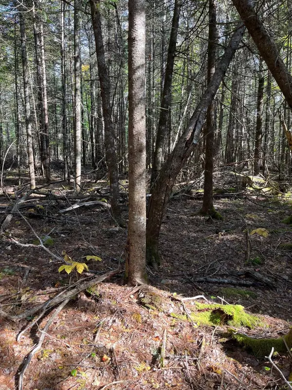Mariaville, ME 04605,Lot 4-1 Mariaville RD