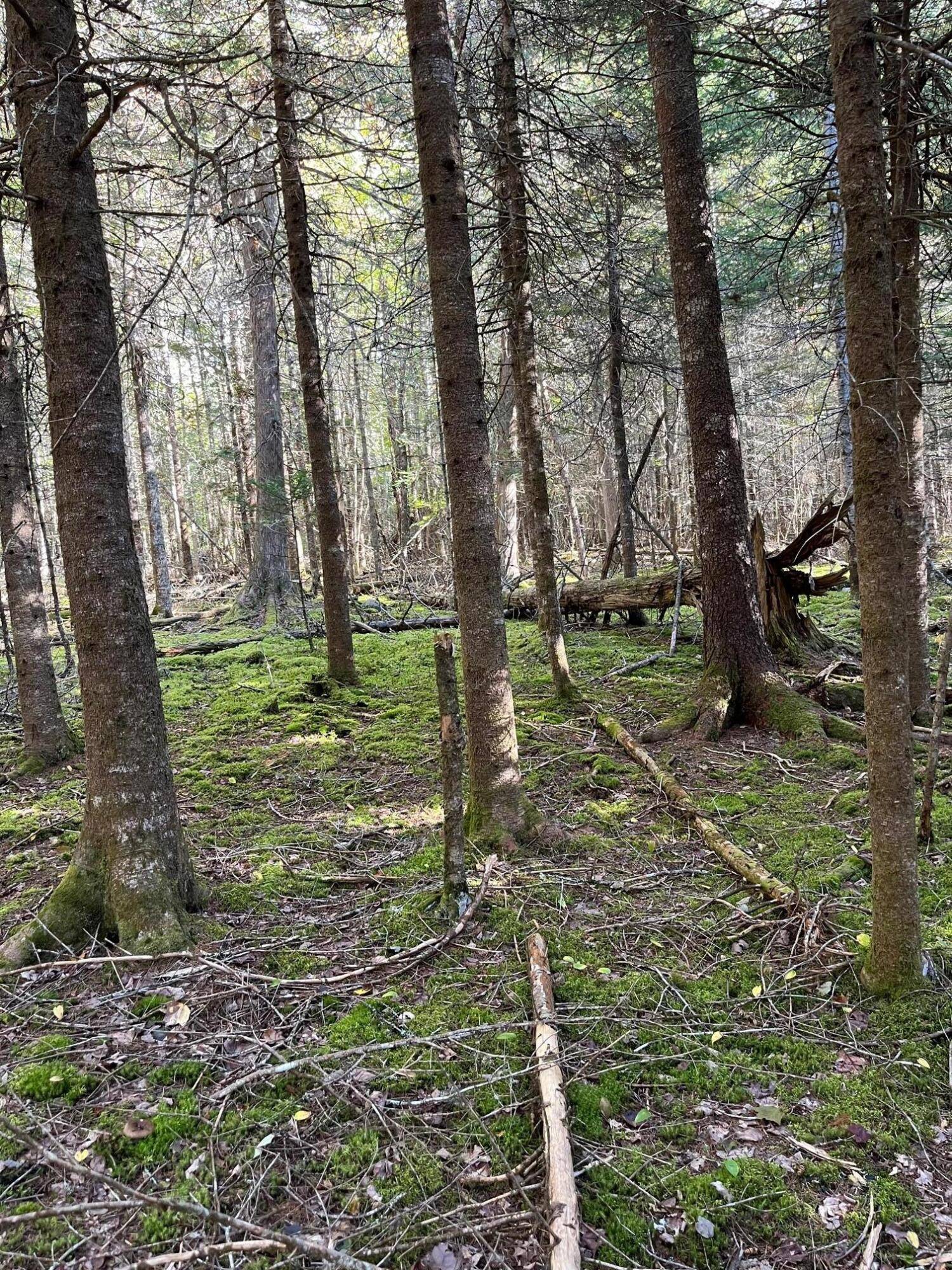 Lot 4-1 Mariaville RD, Mariaville, ME 04605