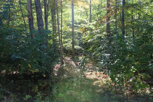 Orland, ME 04472,1367 Bald Mountain RD