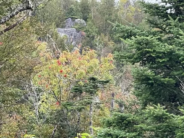 Lubec, ME 04652,M4L19-1 Off Dixie Road