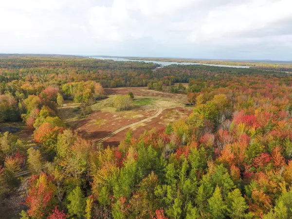 Harrington, ME 04643,00 Pleasant River Road