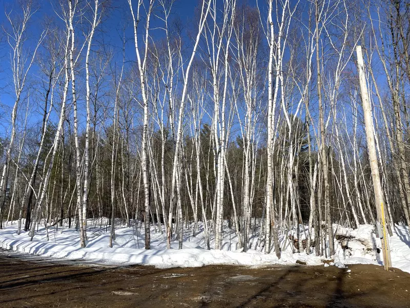 56 North Shore RD, Gray, ME 04039