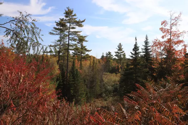 Lot # 16 Hemlock Ridge DR, Hermon, ME 04401