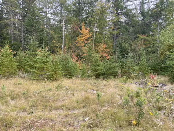 Pembroke, ME 04666,7 Carriage LN