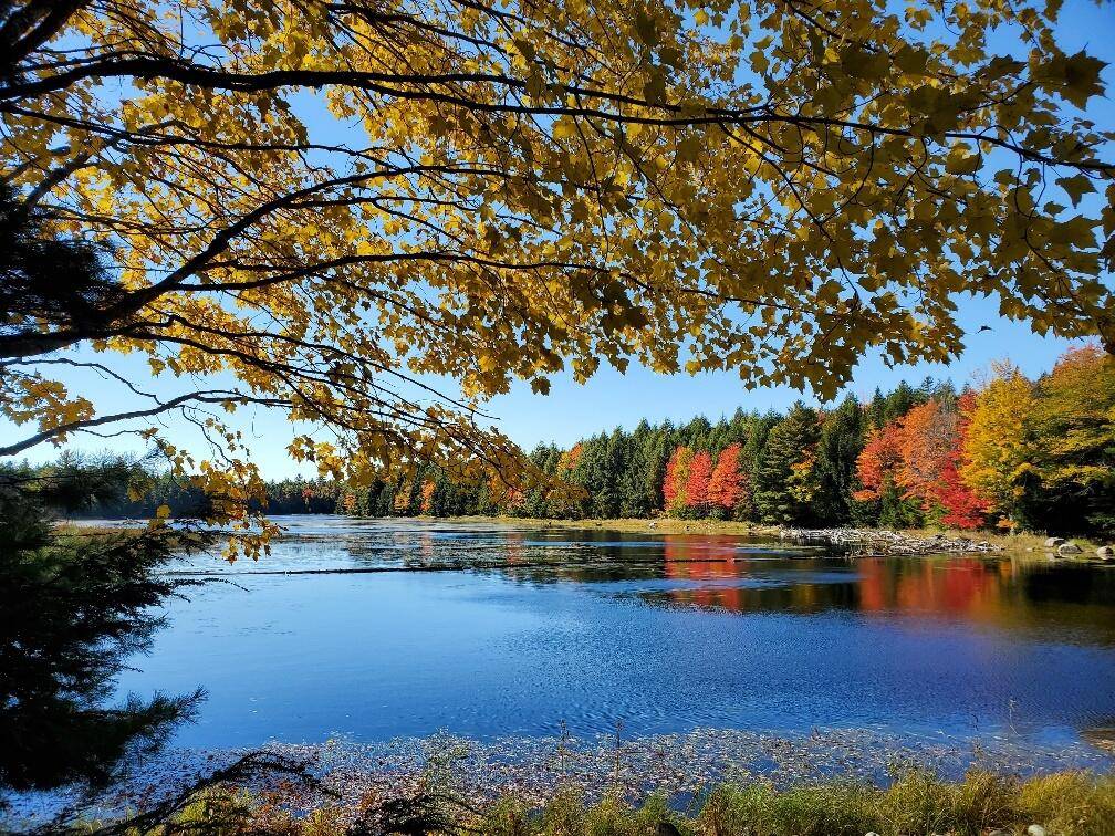 Greenlaw Chopping Twp, ME 04668,0 Clifford Lake RD