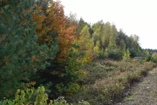 Surry, ME 04684,Lot 9 Surry Ridge Subdivision