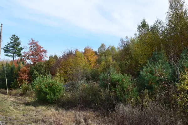 Surry, ME 04684,Lot 9 Surry Ridge Subdivision