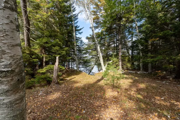 Freeport, ME 04032,334 Lower Flying Point RD