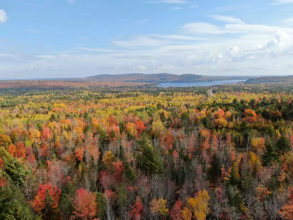 Kossuth Twp, ME 04490,14 Log Cabin Lane