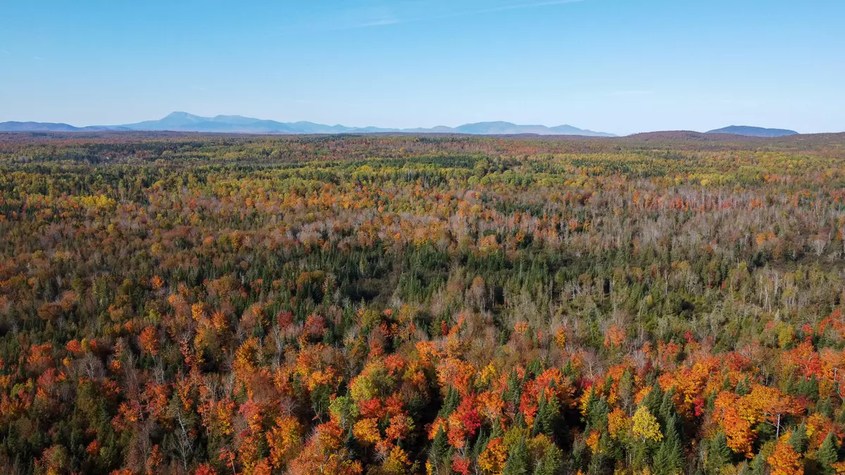 Mount Chase, ME 04765,Lot 16 Up Back Road