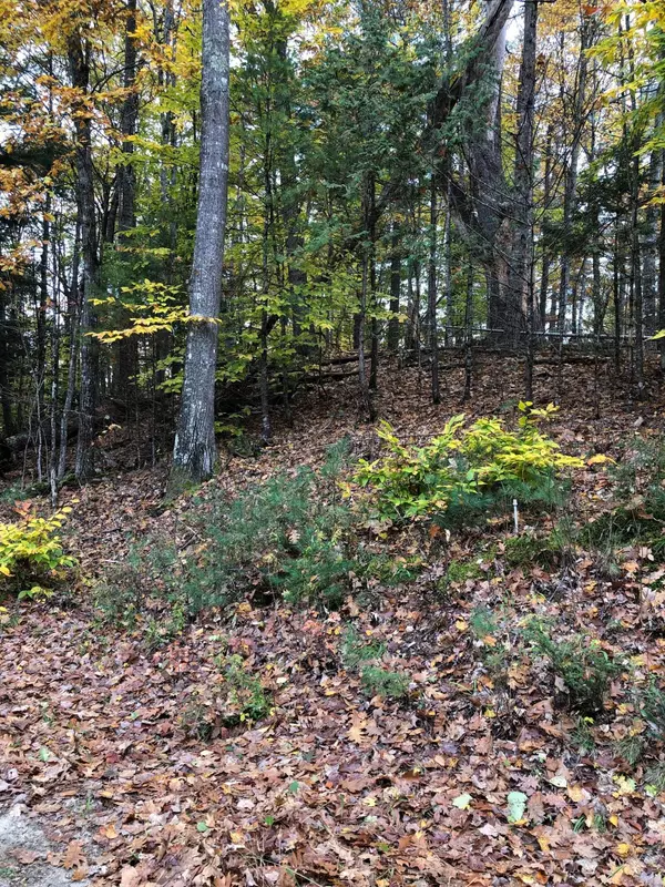 Norway, ME 04268,Lot 3 Penn RD