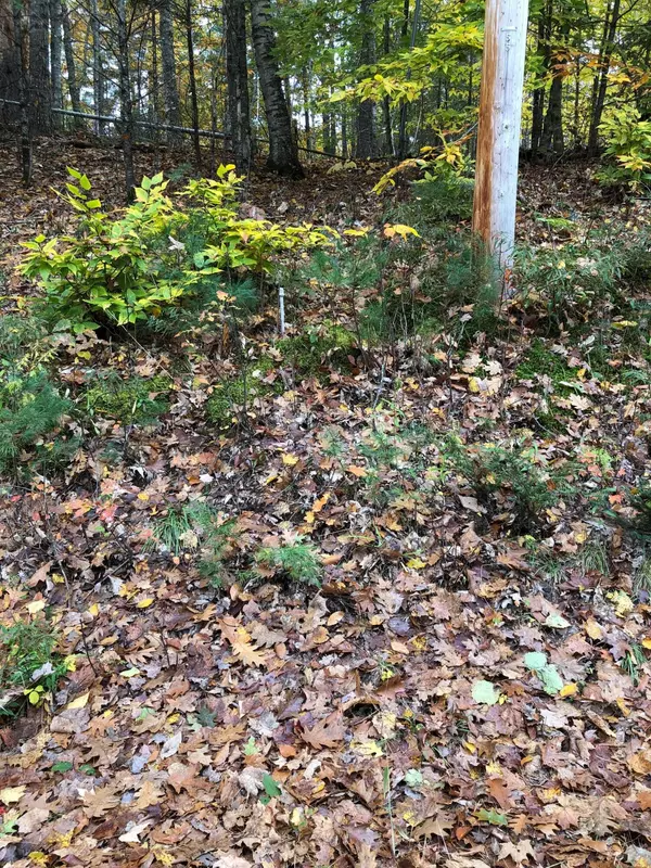 Norway, ME 04268,Lot 3 Penn RD