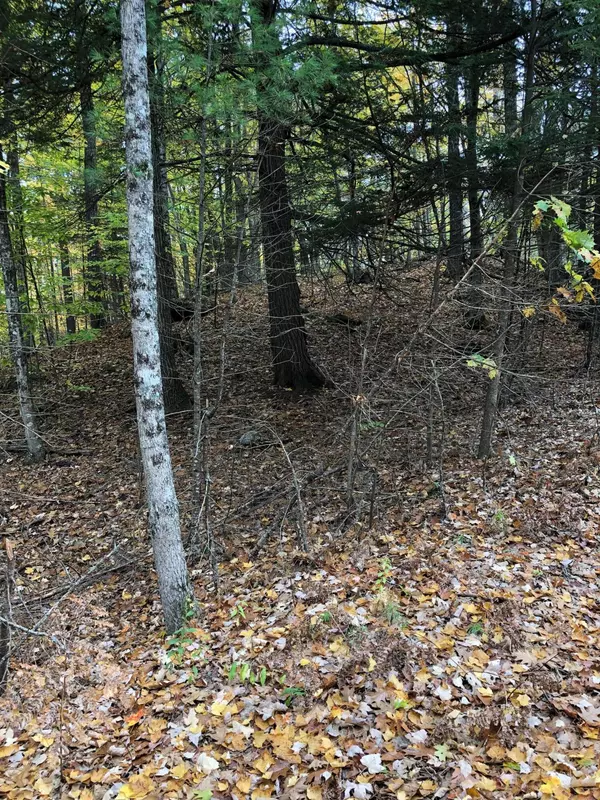 Norway, ME 04268,Lot 3 Penn RD