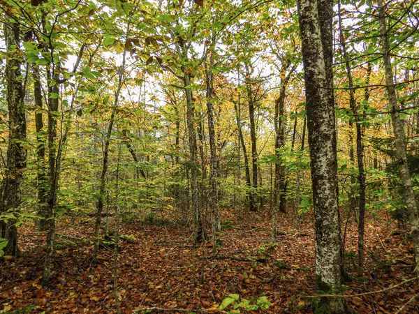 Stockton Springs, ME 04981,186 Pout Town RD