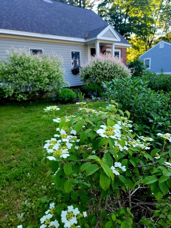 Kennebunk, ME 04043,5 Birch RD