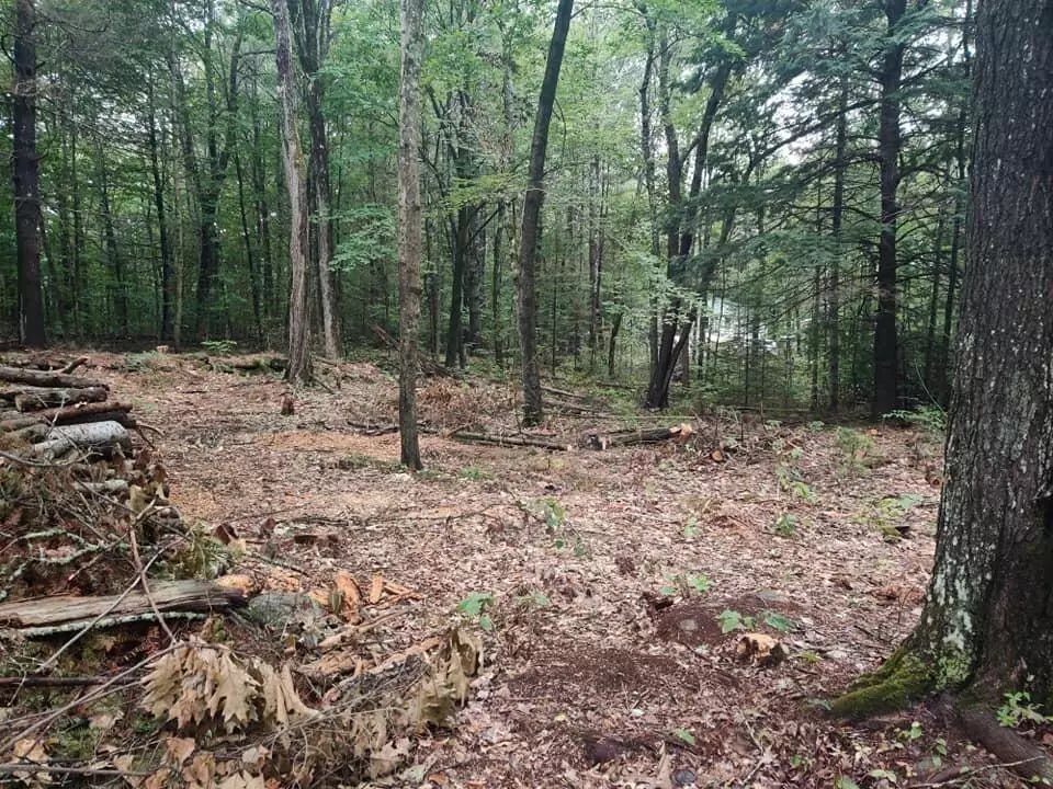 Oakland, ME 04963,81 Mary LN