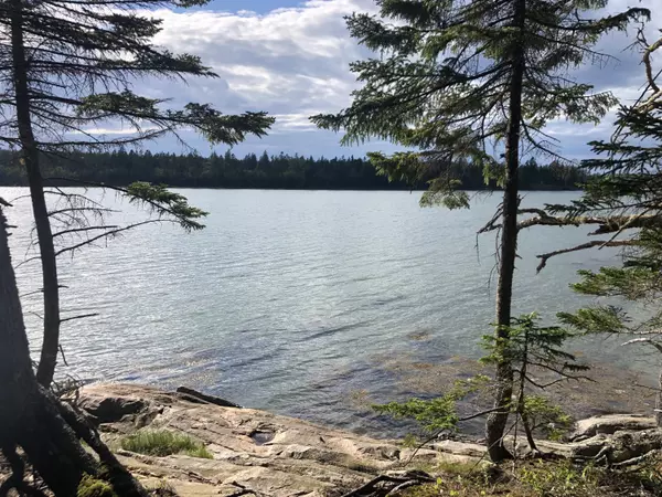 Steuben, ME 04680,#10 Evergreen DR