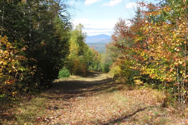 Greenwood, ME 04255,Lot 18 Bear LN