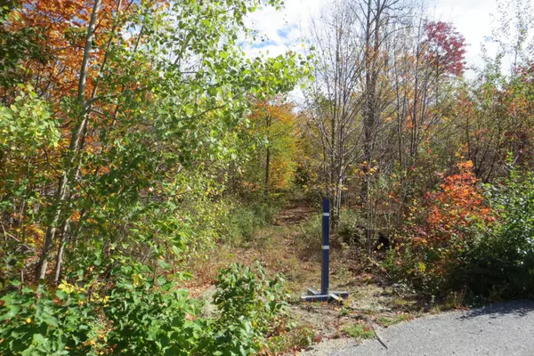 Greenwood, ME 04255,Lot 18 Bear LN