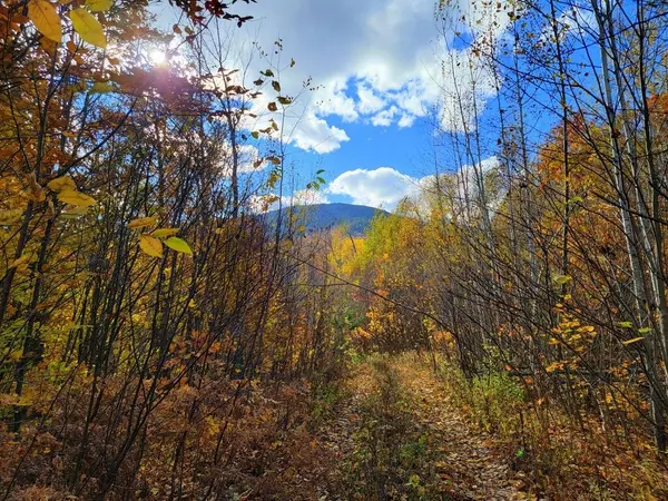 Washington Twp, ME 04294,TBD Map FR 028 Plan 01 Lot 18