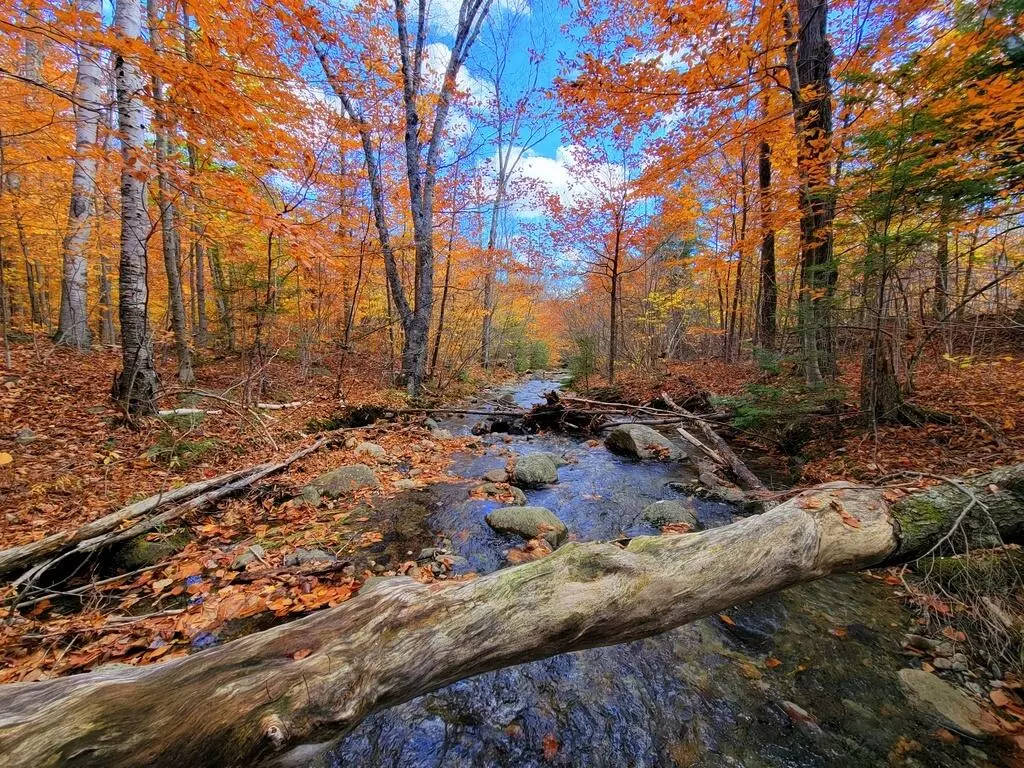 Washington Twp, ME 04294,TBD Map FR 028 Plan 01 Lot 18