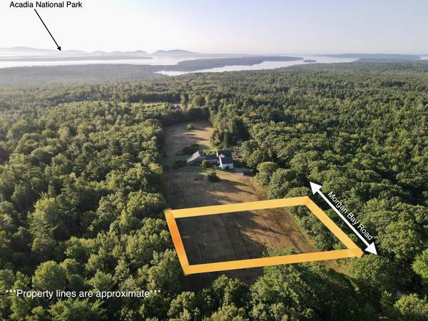 Lot 1 Morgan Bay RD, Surry, ME 04684