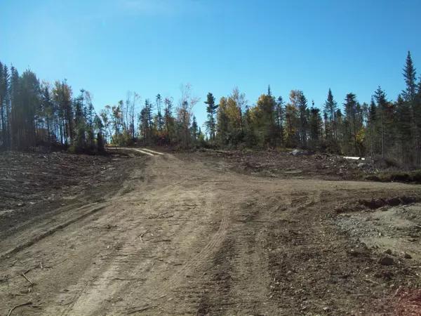 Lee, ME 04455,tbd Arab Road