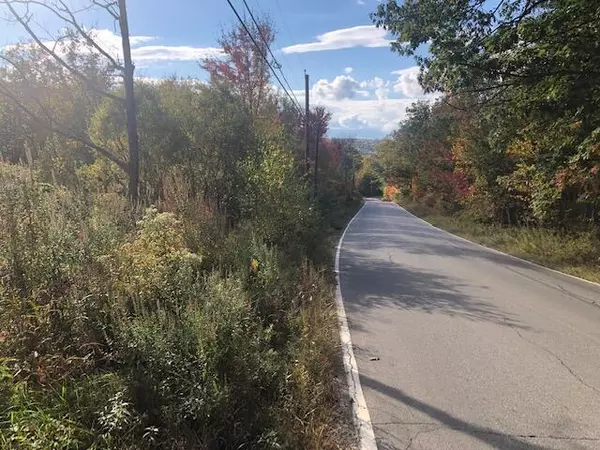 Parsonsfield, ME 04047,1029 N RD