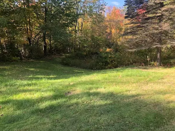 Parsonsfield, ME 04047,1029 N RD