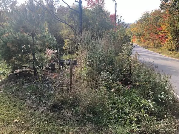 Parsonsfield, ME 04047,1029 N RD