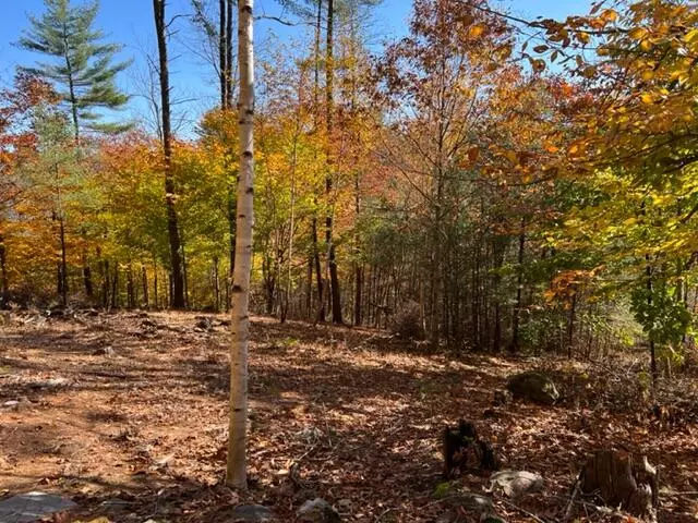 Winthrop, ME 04364,L29, 38&39 Delaware RD