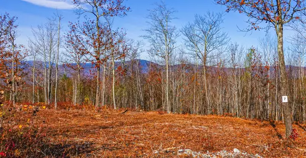 Stoneham, ME 04231,Lot 7 Mine RD