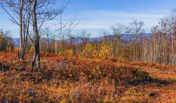 Lot 8 Mine RD, Stoneham, ME 04231