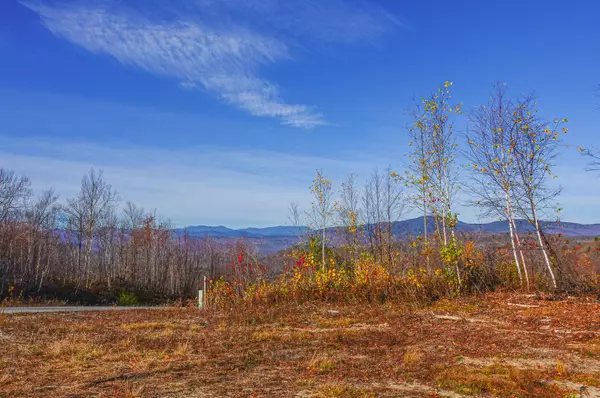 Lot 12 Mine RD, Stoneham, ME 04231