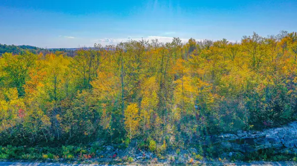 Stoneham, ME 04231,Lot 12 Mine RD