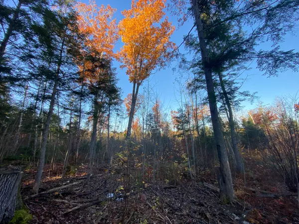 Maxfield, ME 04448,M2L25 River Road