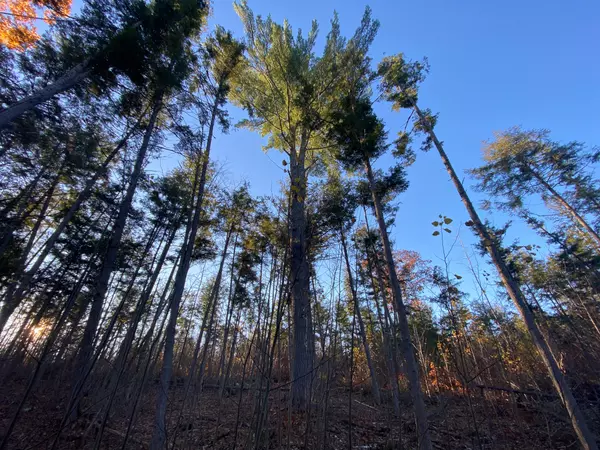 Maxfield, ME 04448,M2L25 River Road