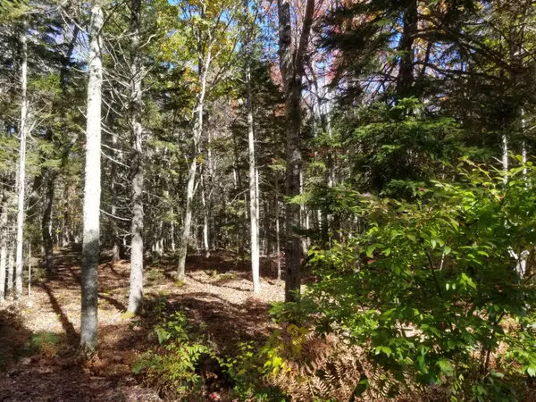 Phippsburg, ME 04562,Lot 12 Bay Ledges RD