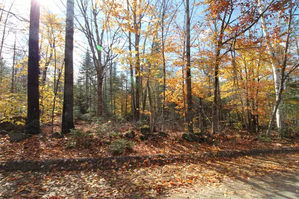 Weld, ME 04285,Parcel 2 Center Hill RD